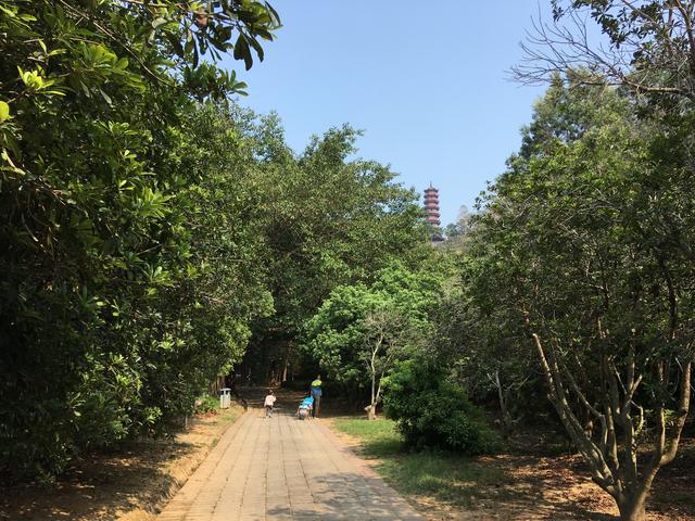 广州哪里可以看海，广州旅游看海的地方（广州这些“无敌海景”碧道藏不住了）