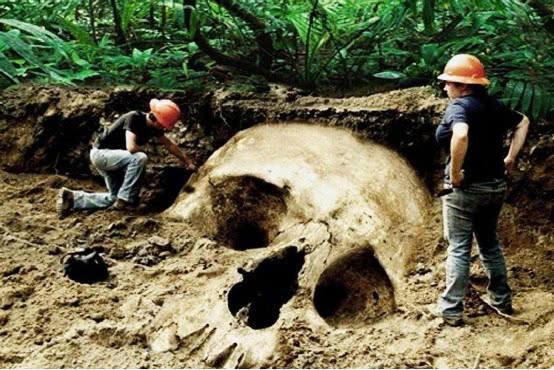 世界上有没有远古巨人，巨人传说中的泰坦巨人真存在