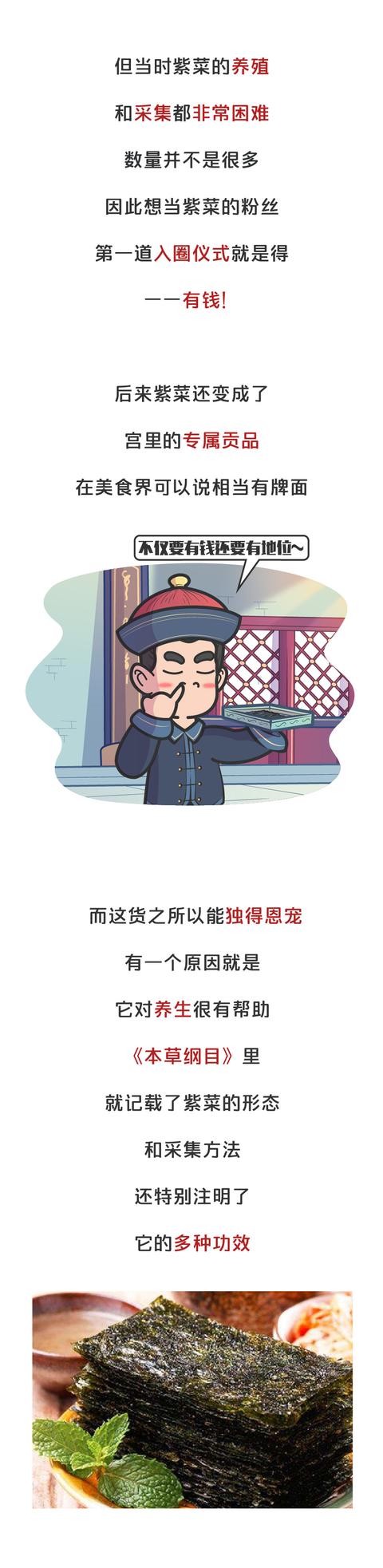 海苔是用什么做的，海苔主要是用什么制作的（海苔、紫菜是同一种食物）