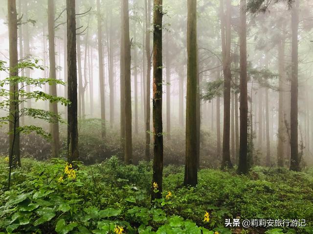徒步南迦巴瓦峰最佳观景台，雾中徒步薄刀峰