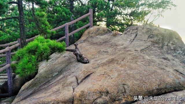 黄山特色景点一日游，黄山一日游攻略