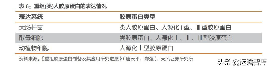 胶原蛋白肽前景，胶原蛋白在美丽和健康领域拥有广阔前景