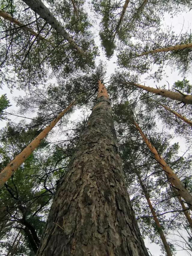 黑格尔世界哲学语录100句，黑格尔十大经典名言