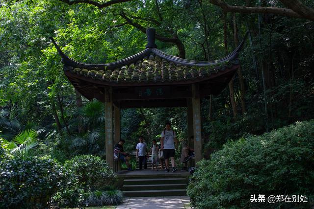 杭州冷门爬山路线，杭州登山路线08最好在这里