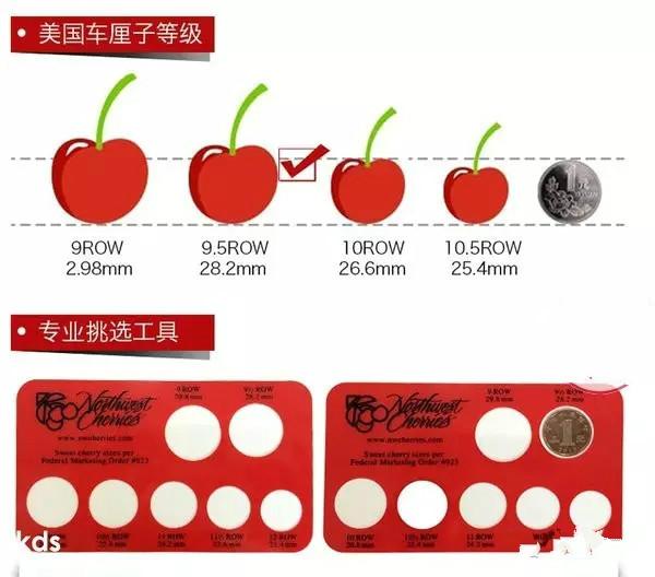 cherry和樱桃的区别，Cherry车厘子最简单的基本知识
