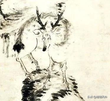 雪个，对八大山人朱耷的评价