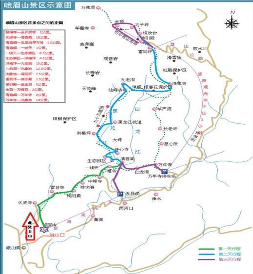 乐山必去4个景点，乐山游玩宝藏级攻略