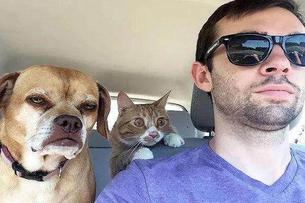 狗狗最害怕哪些东西，狗狗最害怕的7件事