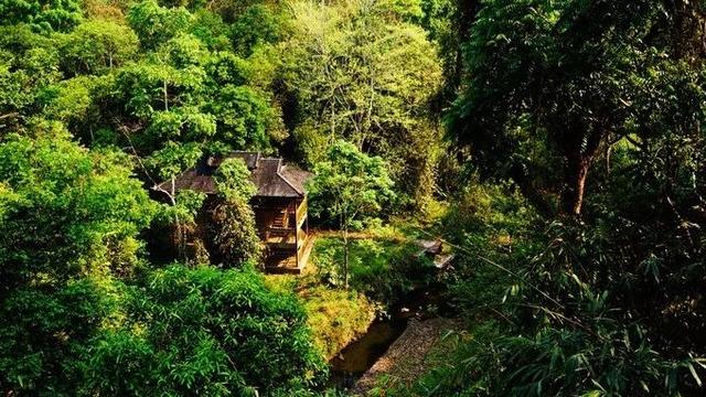 昆明到西双版纳最佳旅游路线，昆明坐火车去西双版纳3.5小时到达