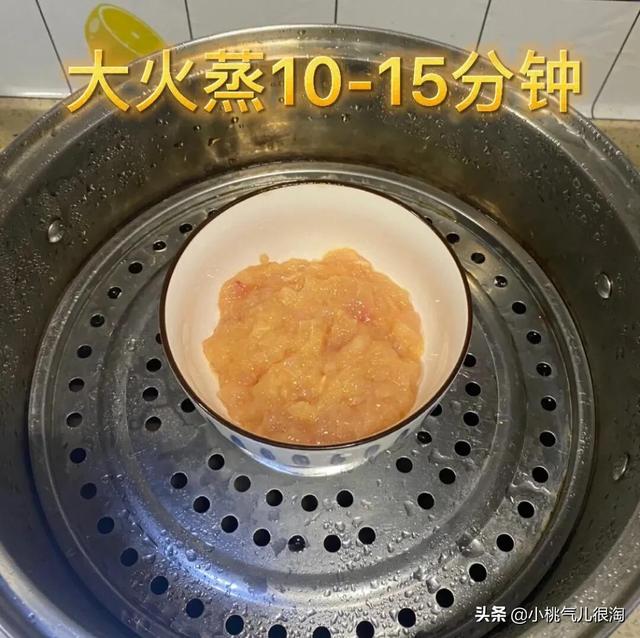 超简单的自制猫饭，幼猫饭自制（宠物托运知识，自制猫饭）