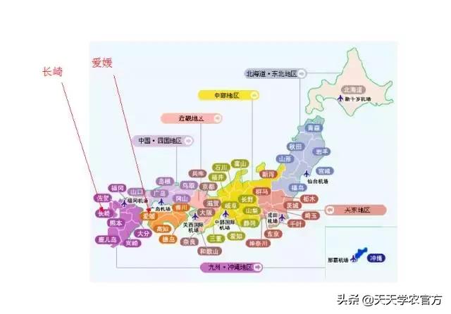 日本著名柑橘，“不知火”柑橘生理生态特性及栽培探讨