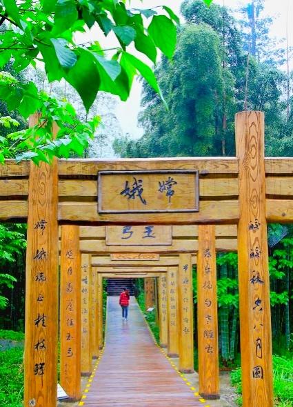 冬季江西旅游必去十大景点，江西8个著名名山山清水秀
