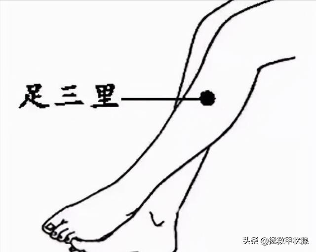 脾虚的五大症状及食疗方，竟有3个意想不到症状