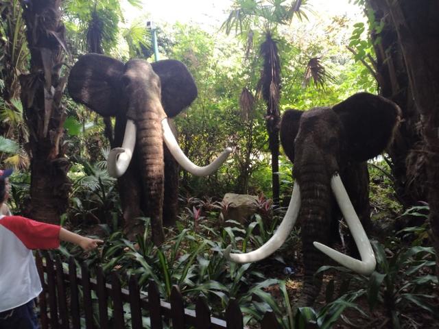 深圳世界之窗晚上有什么看点，最好的风景在门口