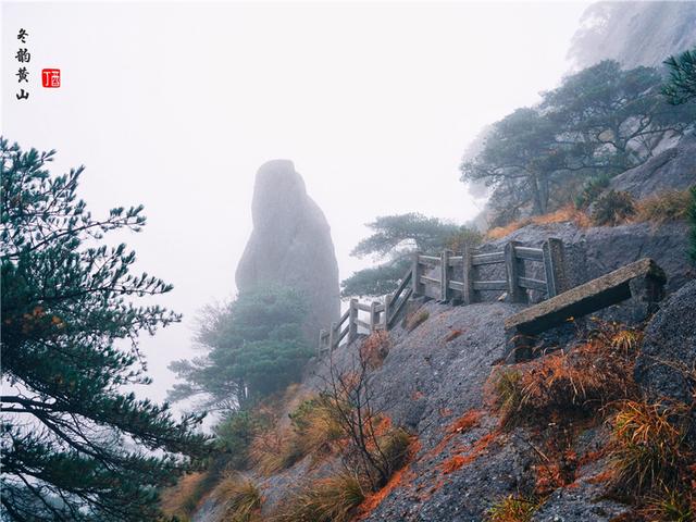 安徽黄山景点旅游攻略图文并茂，黄山超全旅游路线宝典