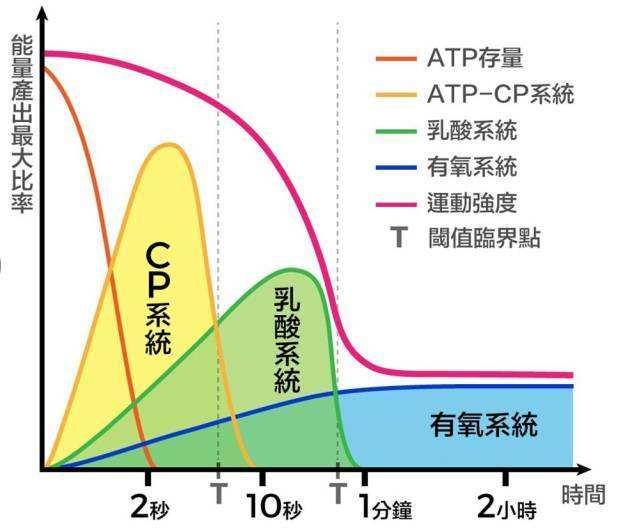 最常见的九种健身补剂，5种健身后常见的运动营养补剂