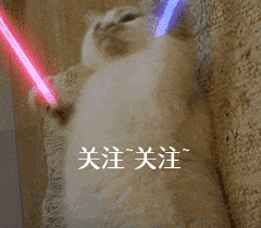 狗狗摇尾巴表示啥意思，狗狗在不同情况的摇尾巴