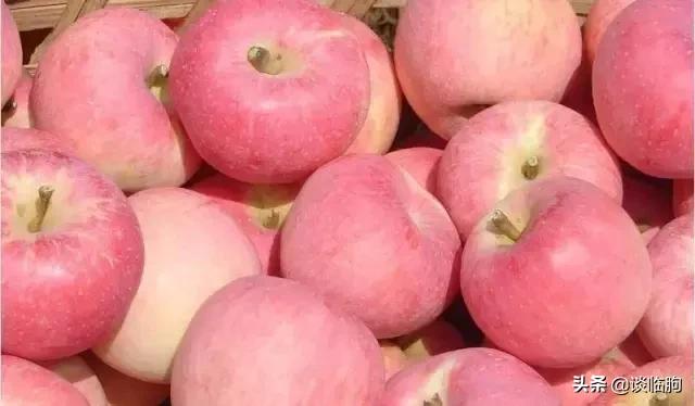 嵩山风景区一日游，又到春天旅游季