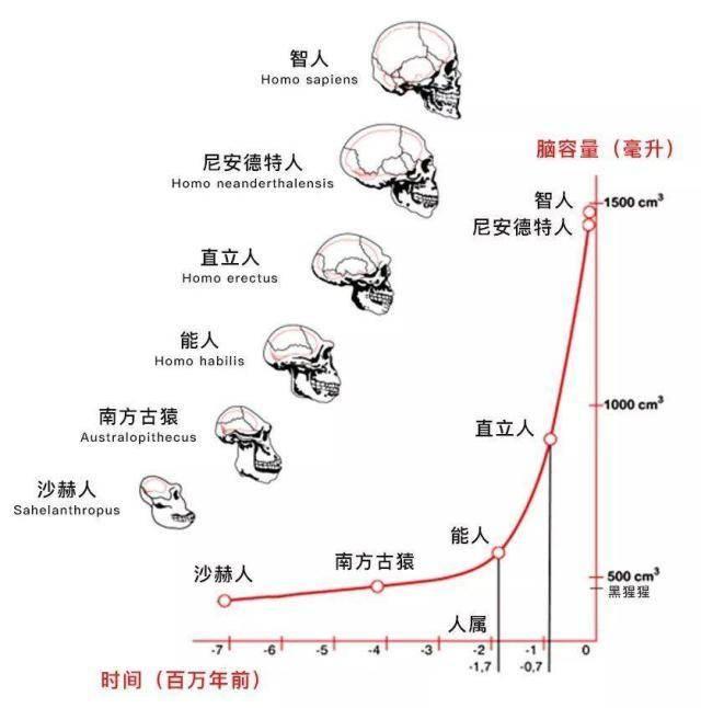 地球上已灭亡的4种人种，世上已消失的4大人种