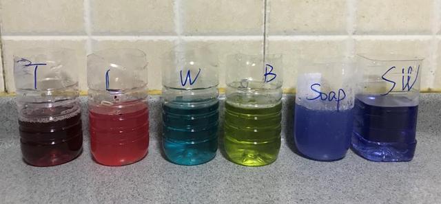 自制酸碱指示剂，自制酸碱指示剂实验家里（2021年中考化学二轮复习第7讲-常见的酸和碱、中和反应及溶液的pH）