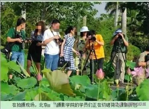 饱和度是什么意思，摄影中饱和度什么意思