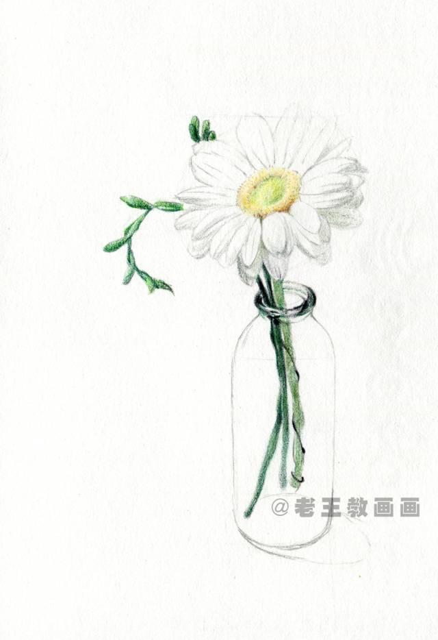 菊花又简单又好看怎么画，菊花画法及步骤