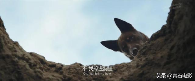 好莱坞大片冬季战争，超强冬季风暴袭击美国