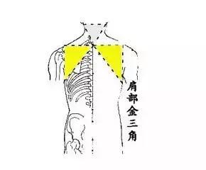 脏器排毒时间表，人体六大器官排毒时间表（器官真的会按照时间表排毒吗）