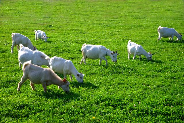 重庆周边凉快的避暑打卡地两三天，重庆周边这⑧个避暑胜地只有25℃