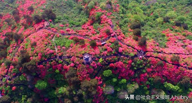 湖北麻城附近旅游景点推荐一日游，独家供稿最新全方位旅游攻略