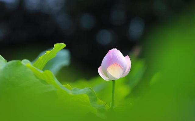 人生的高峰时期与低谷时期，决定了人生的格局