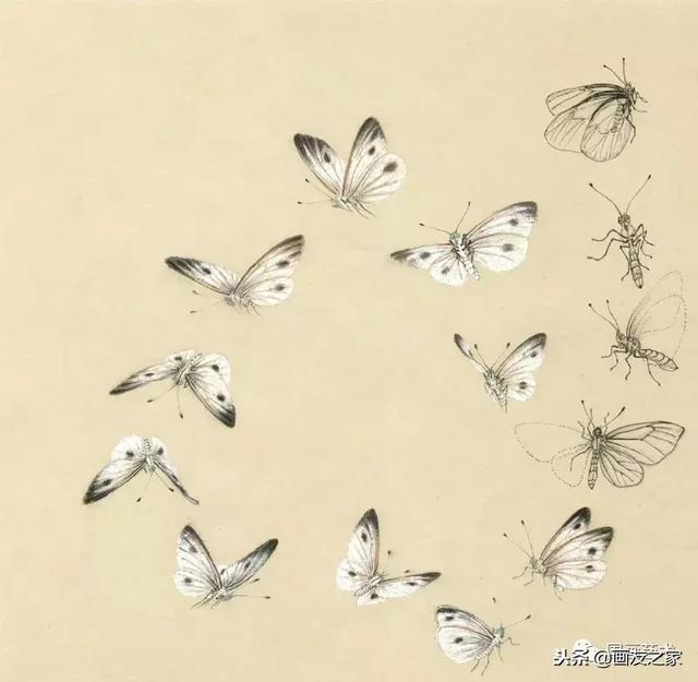九尾狐最简单的画法教学，逐花之虫蝶蜂画法示范