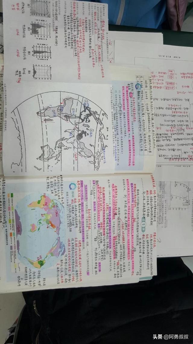 石家庄精英小学，石家庄精英学校蜕变史