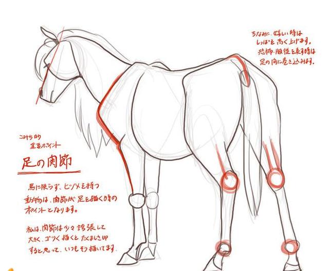 徐悲鸿画马技法，徐悲鸿马画法图（第一次看徐悲鸿画马的过程）