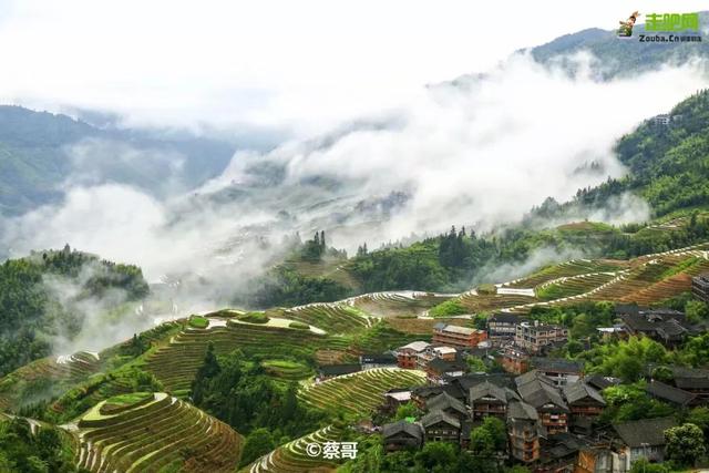 明仕田园在哪里，广西桂林哪里适合自驾游（明仕田园，山水下的隐世秘境）