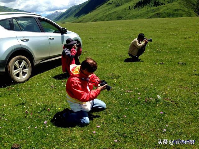 新都桥草原风景，新都桥—塔公草原—雅砻江河谷——迷人的夏季风光