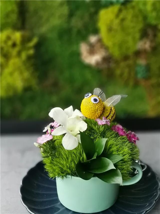 怎样插花才好看，教你如何快速又美观的插花（掌握这“三个”原则）