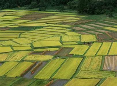 土质改良的最好方法，土质改良方法浅析介绍