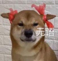 狗子啥时候掉毛严重，为什么狗狗在冬天掉毛特别多