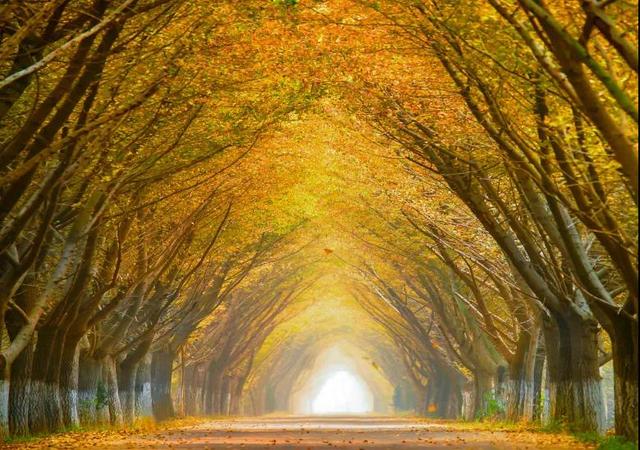 必打卡的宝藏美食，除了意大利面和披萨