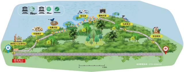 丹霞山海拔多少米，丹霞山重要景点有哪些（广东韶关丹霞山进入观云海最佳时期）