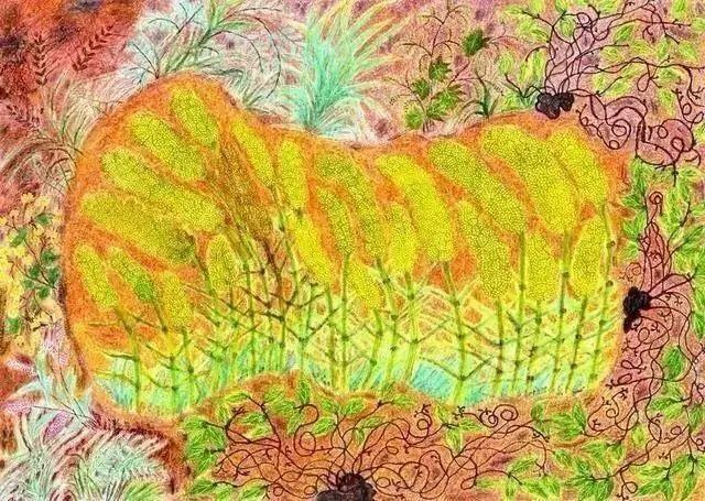 最新的老年人养老方式，刚刚养老又出新花样