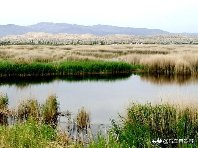 南疆自驾游小环线路线，自驾游可可托海、小白杨哨所