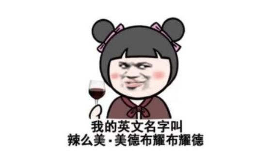 不俗气的英文名，介绍一些洋气又小众的英文名字