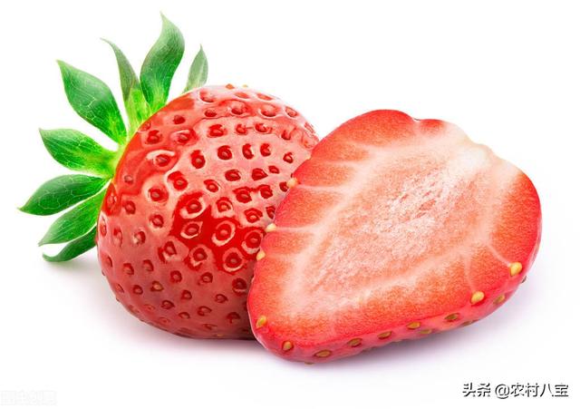 最流行的草莓品种，盘点国内十大最受欢迎的草莓品种