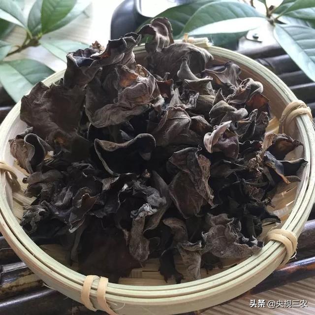 木耳食用的注意事项，黑木耳泡发不当或有生命危险