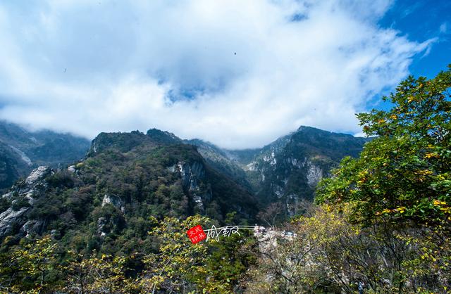 低山区特色是水，鸡笼山特点（牛背梁：低山区特色是水）