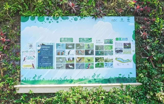 深圳世界之窗好玩吗，深圳世界之窗让你一天游遍全世界