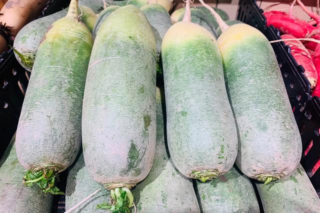 白萝卜选购技巧，白萝卜批发价格多少钱一斤