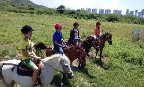 惠州旅游全攻略，广东惠州的正确打开方式